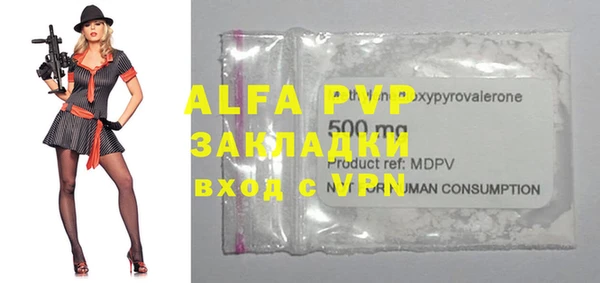 ПСИЛОЦИБИНОВЫЕ ГРИБЫ Гусев