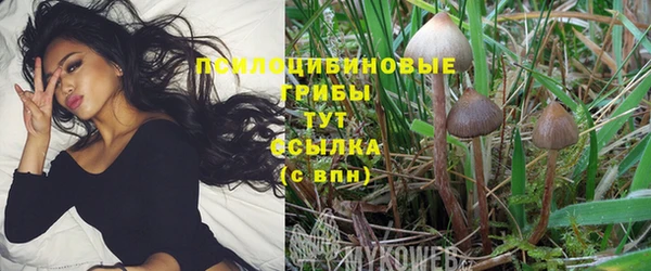 таблы Алзамай