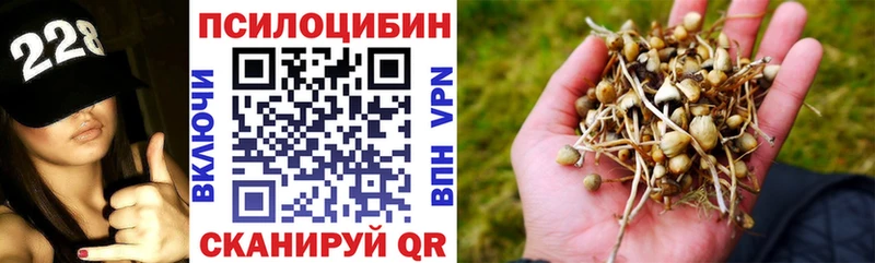 Галлюциногенные грибы Cubensis  ОМГ ОМГ онион  Апатиты  купить наркотики сайты 